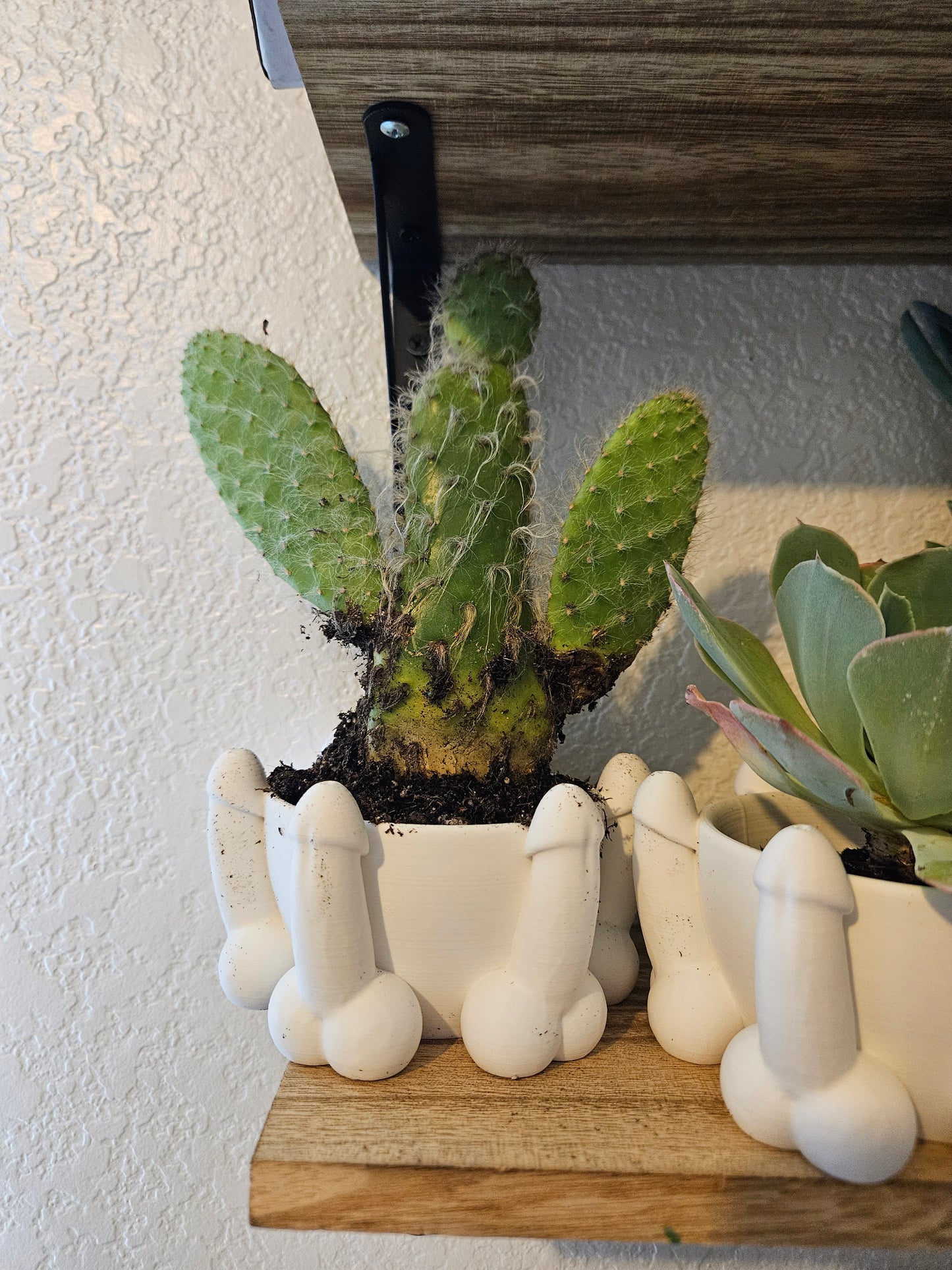 Pre-Order Dick Planter