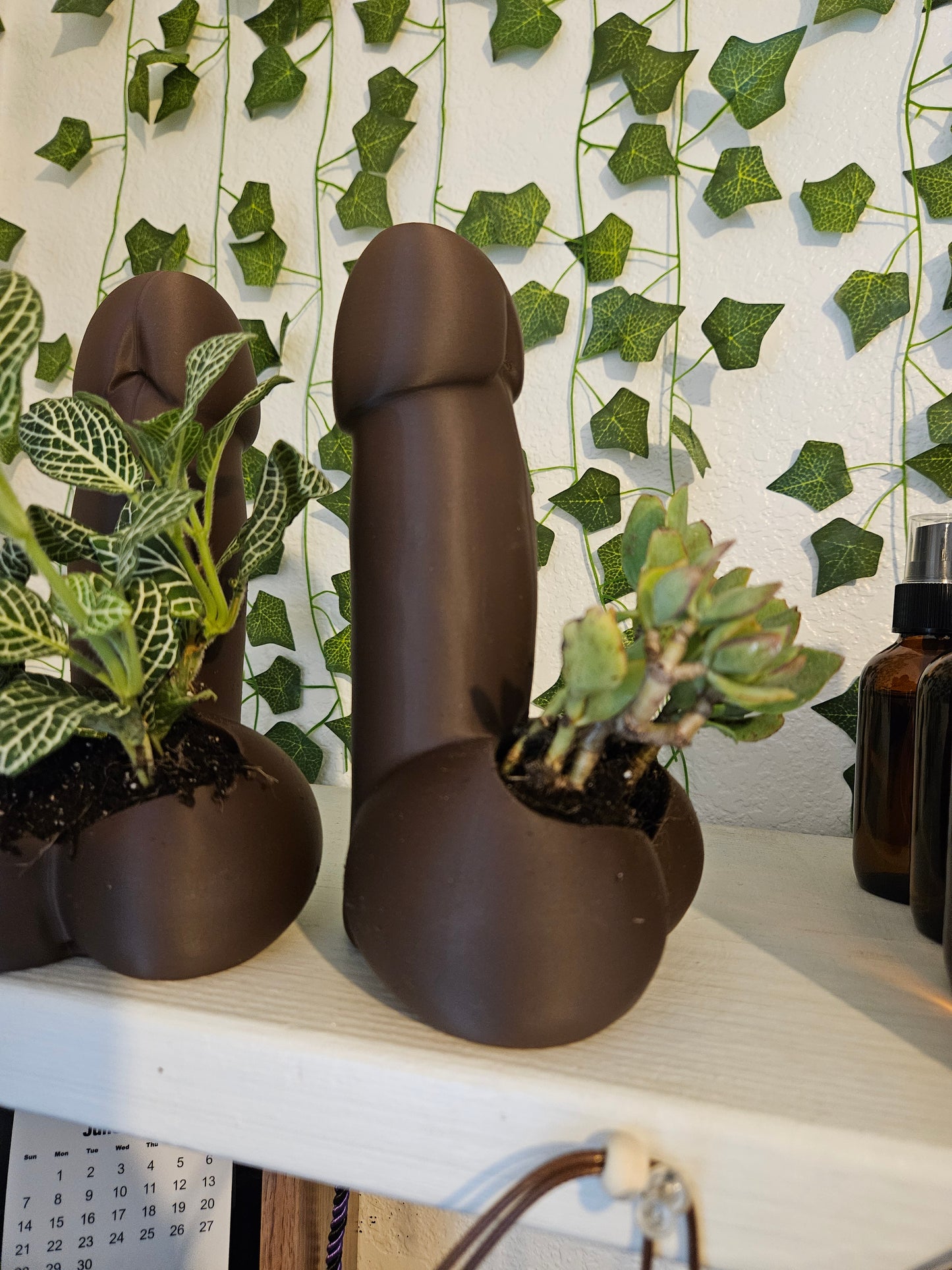 Pre-Order Dick Planter