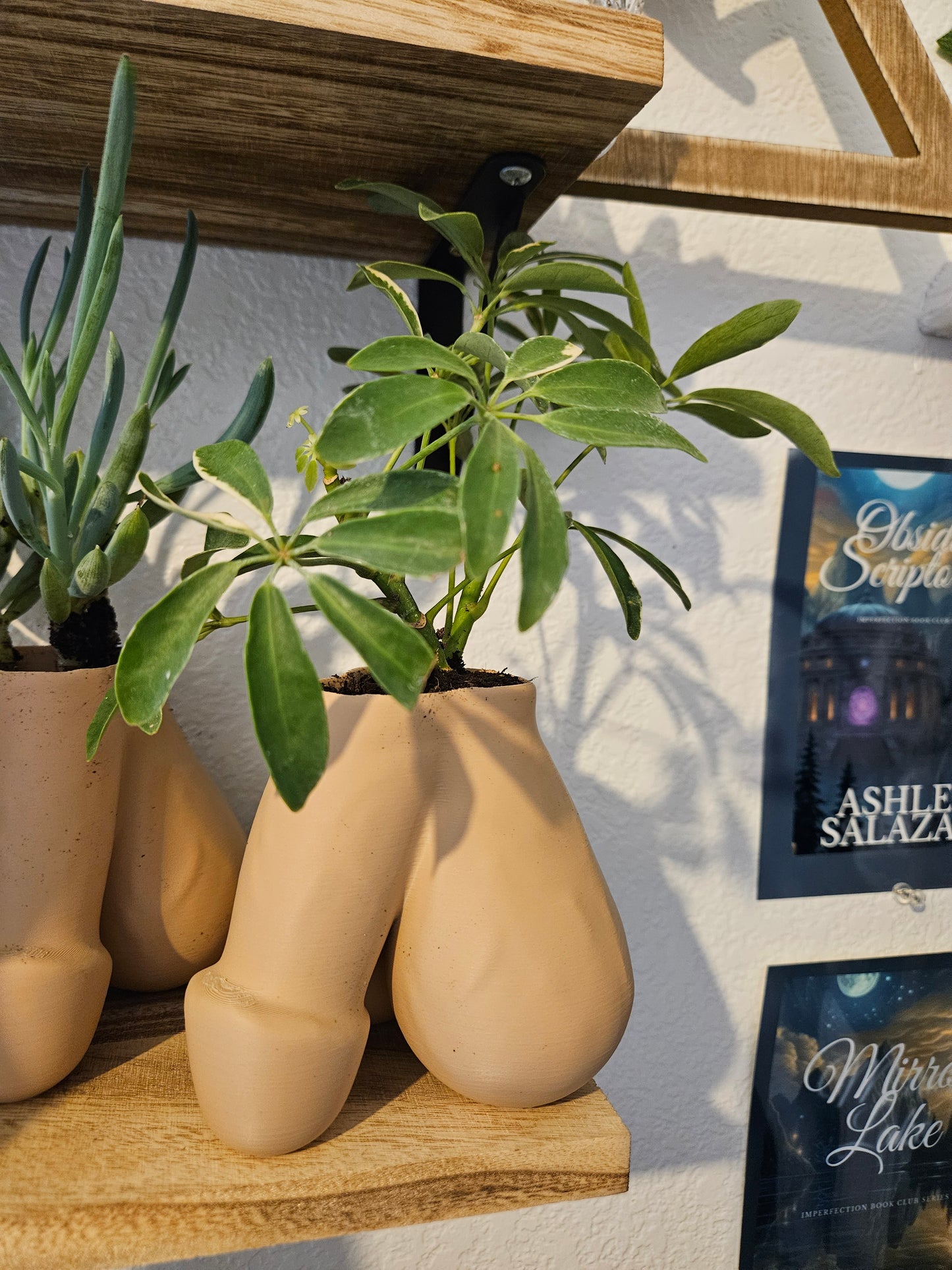 Pre-Order Dick Planter