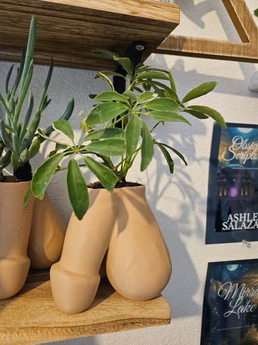 Pre-Order Dick Planter